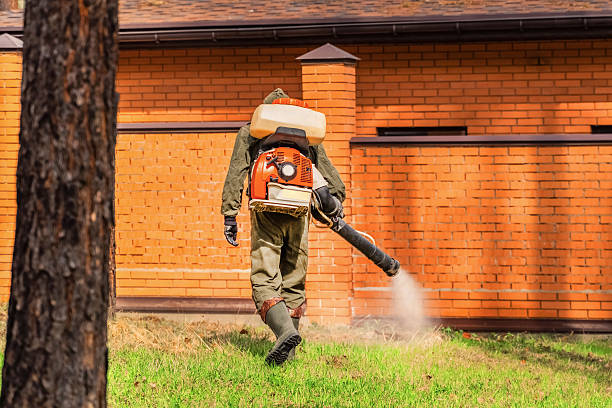 Trusted Termite Control service in Aquia Harbour, VA - Nex Pest Control